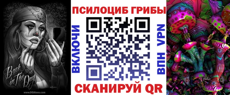 купить наркотик  Чайковский  Псилоцибиновые грибы Cubensis 
