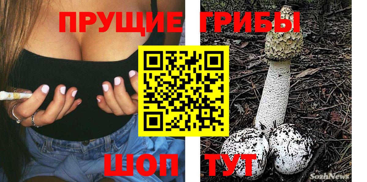 Чайковский  Галлюциногенные грибы MAGIC MUSHROOMS  Вход с VPN 