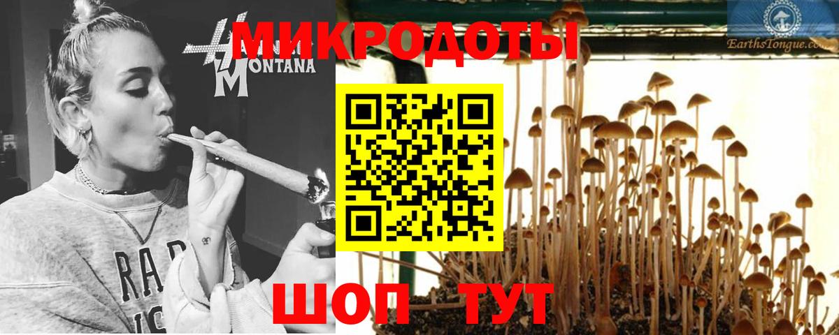 Галлюциногенные грибы MAGIC MUSHROOMS Чайковский